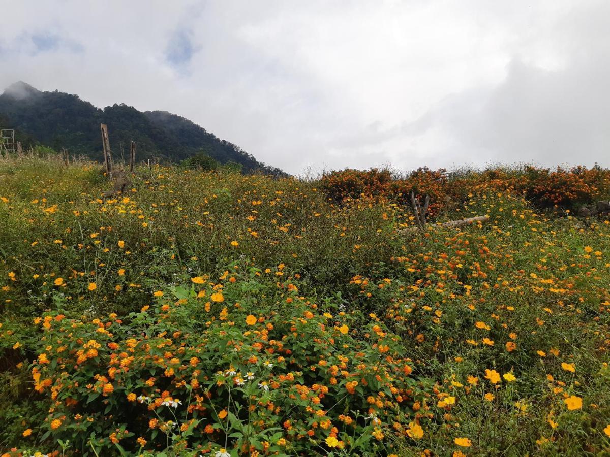 Your Home Mai Chau Exterior photo